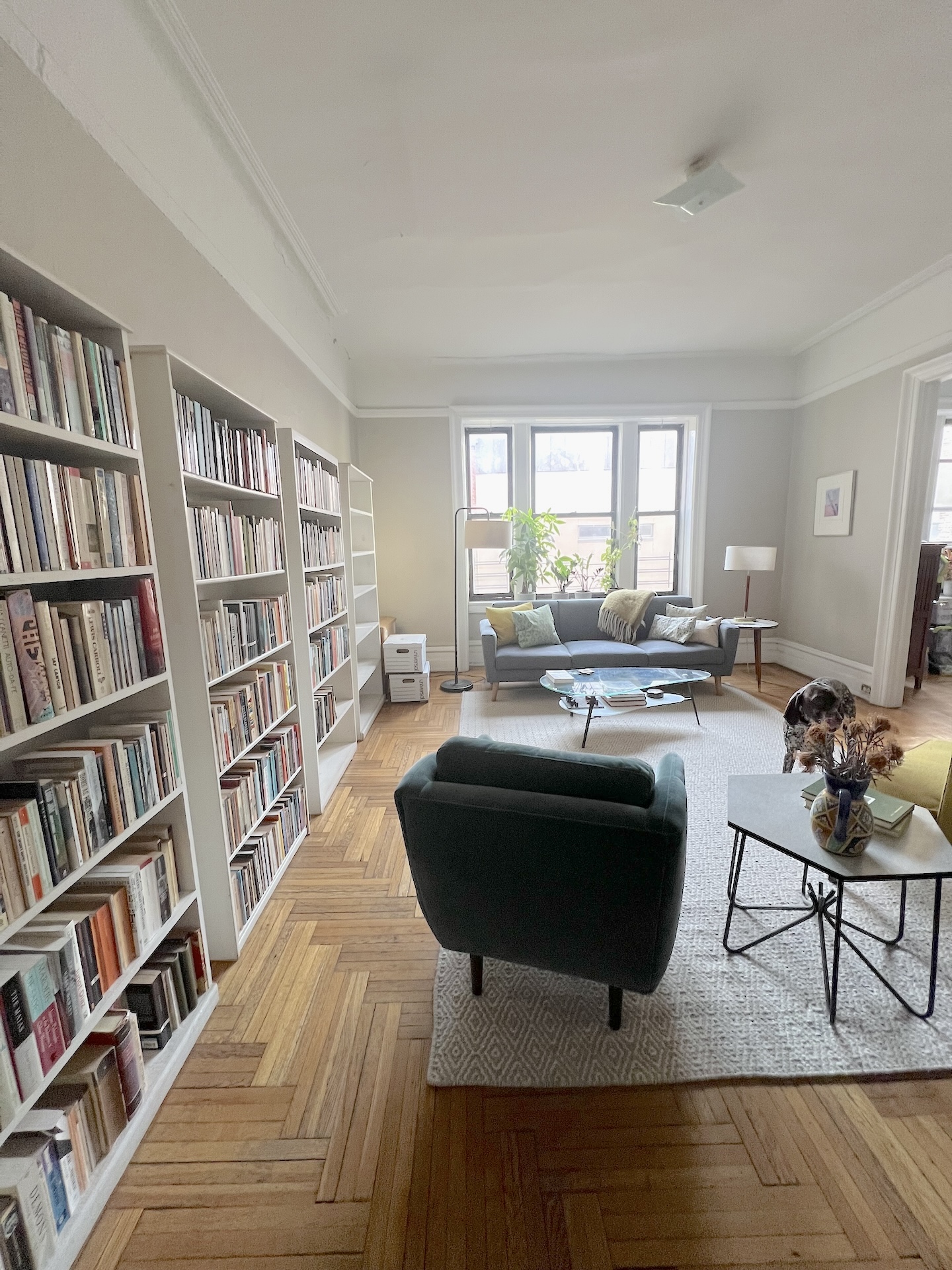 59 Livingston Street, Unit 4C Brooklyn, NY 11201 - Photo 4 of 11 a living room with a couch bookshelf and a large window