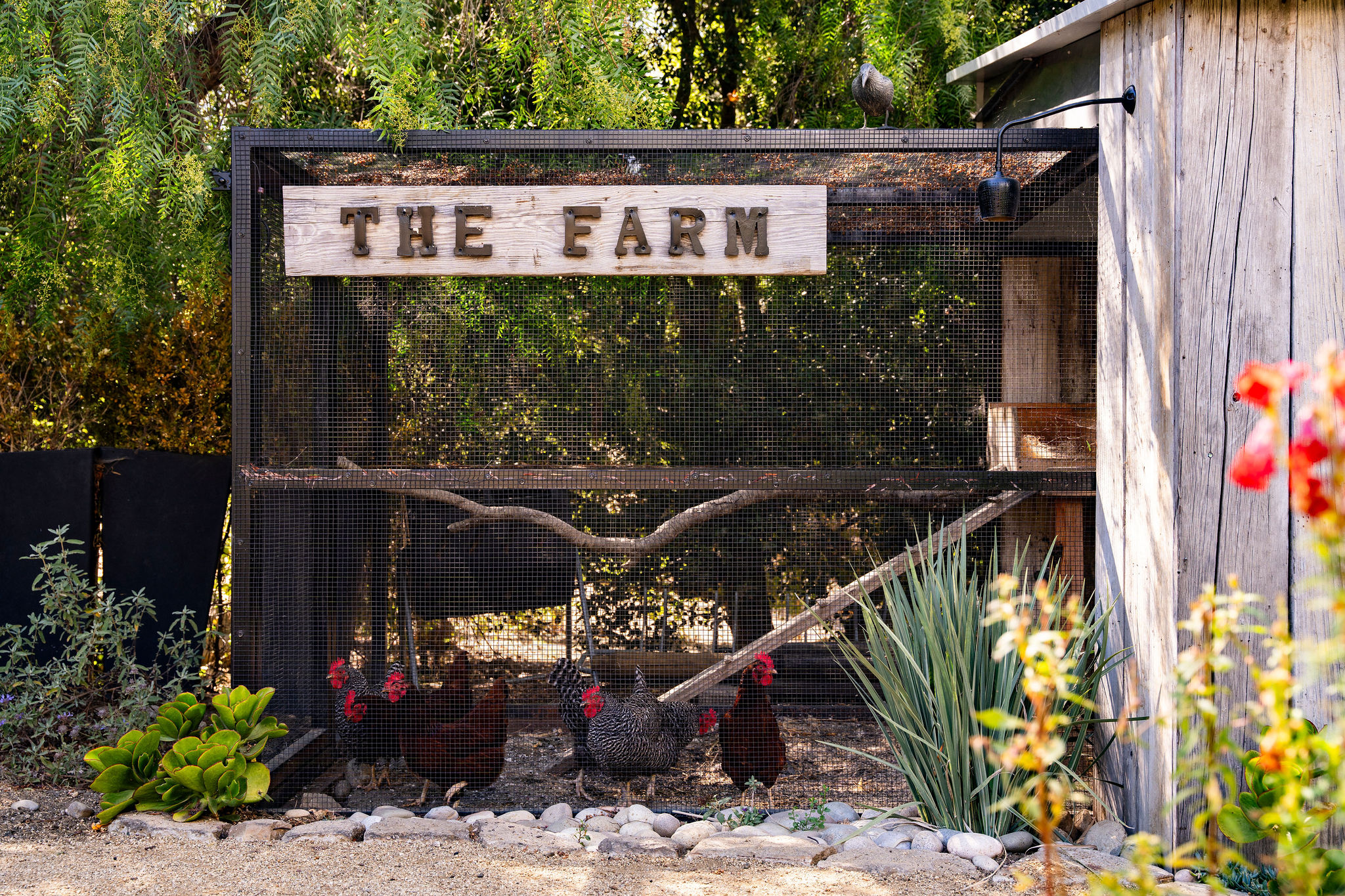 560 Cold Canyon Road Calabasas, CA 91302 - Photo 56 of 84 a view of a chairs and table in the backyard