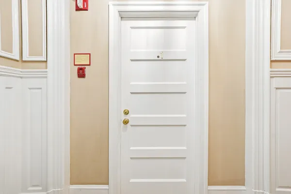 a view of a yard with large trees