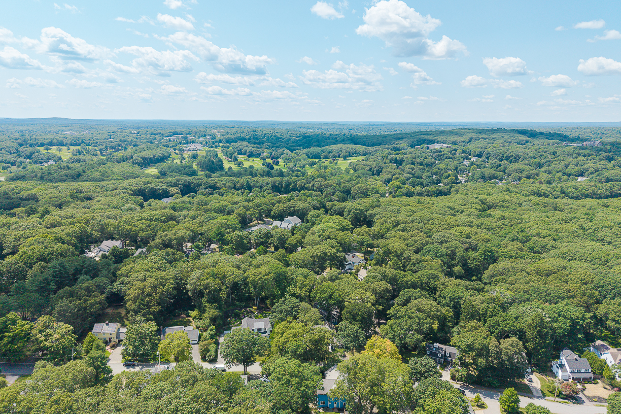 53 Sheridan Road Wellesley Hills, MA 02481 - Photo 7 of 75 Gallery Image 7