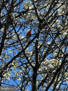 $674,500 | 2422 2nd Street Northeast, Washington, DC 20002