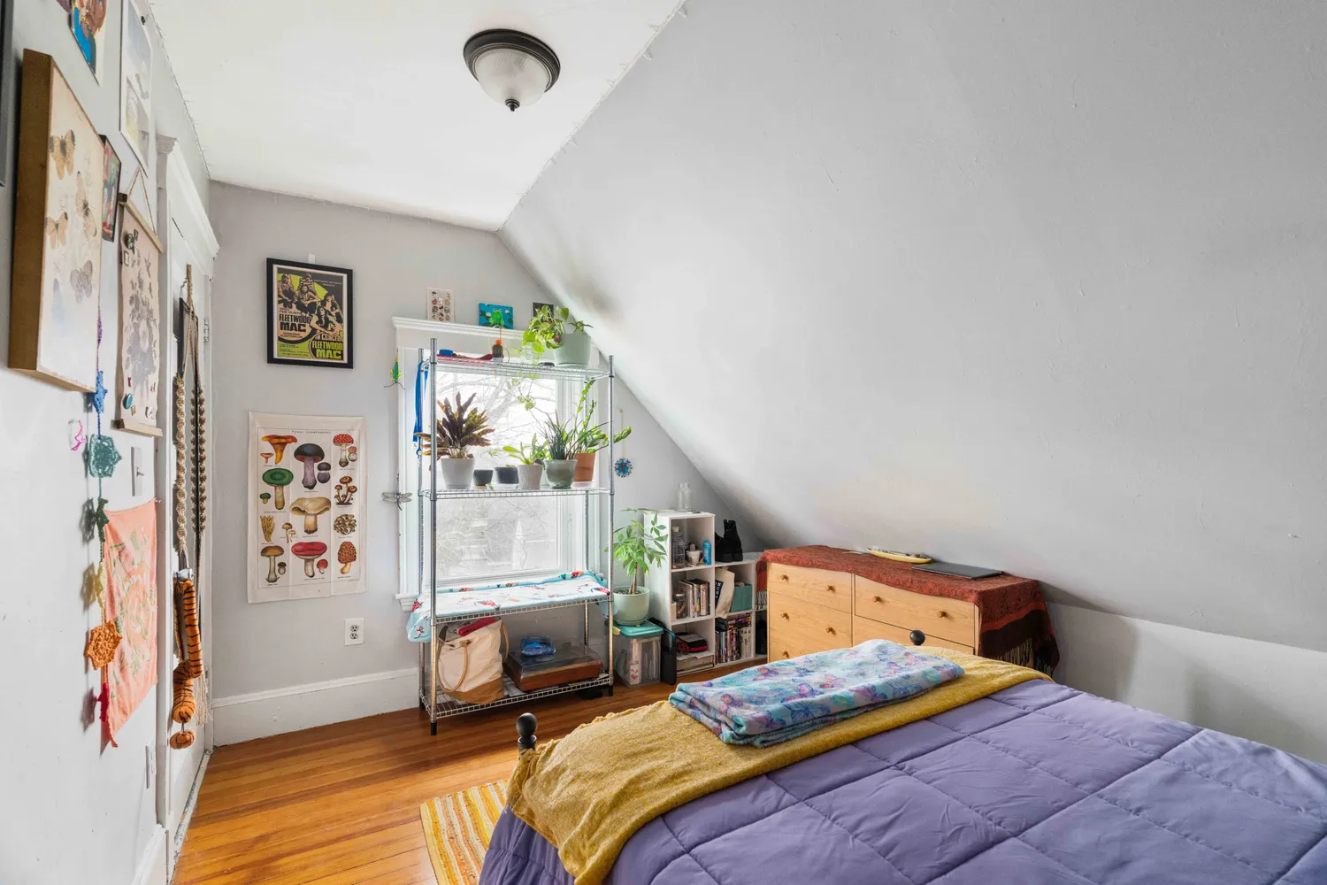 Contact Agent | 35 Asticou Road, Jamaica Plain, MA 02130