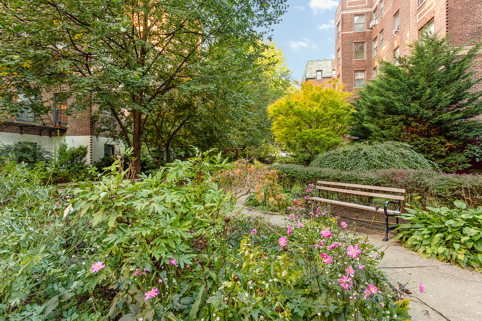 37-16 80th Street, Unit 32 Queens, NY 11372 - Photo 11 of 13 a view of a garden with plants and large trees
