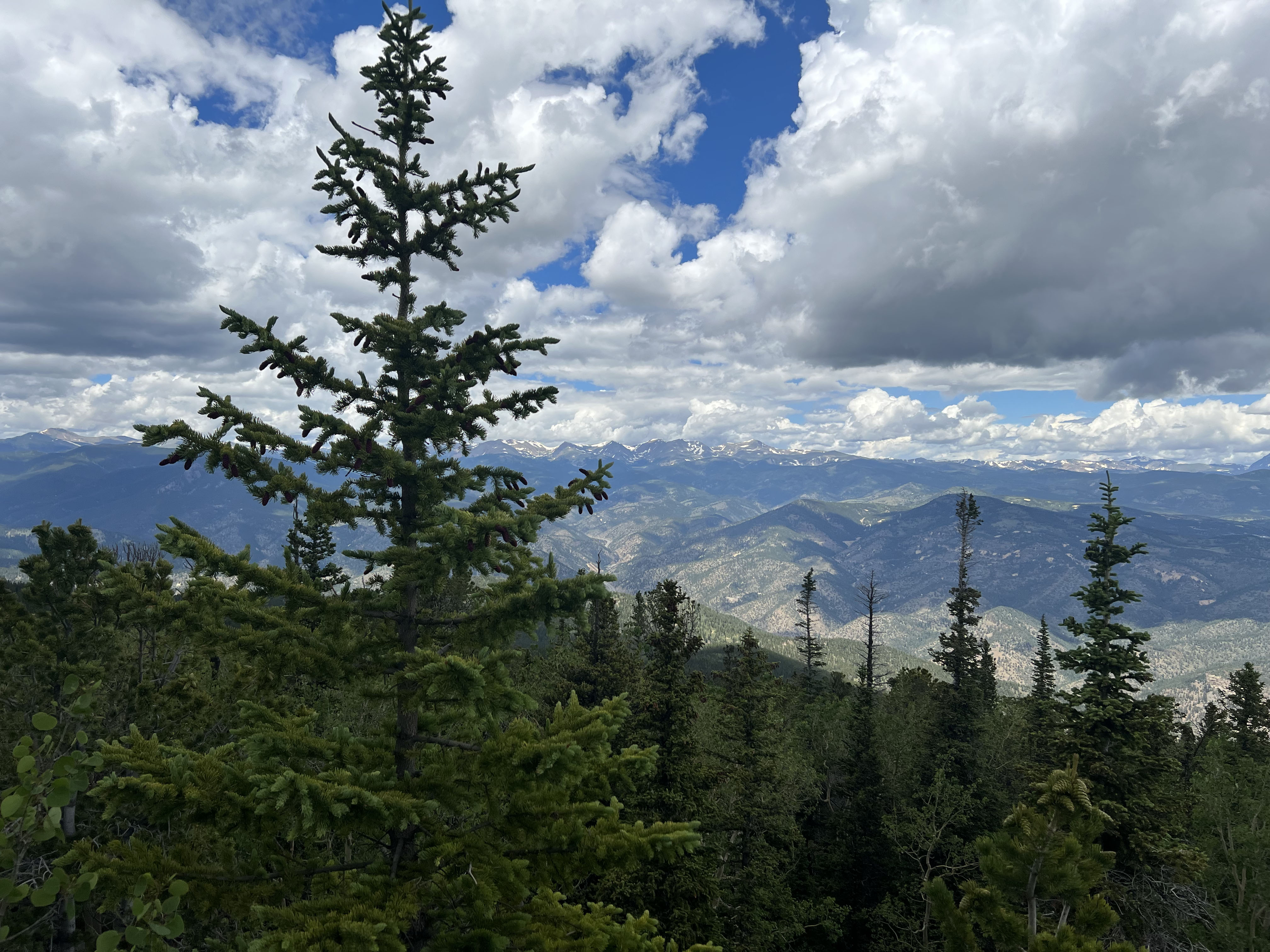 0 South Hidden Wilderness Road Idaho Springs, CO 80452 - Photo 2 of 20