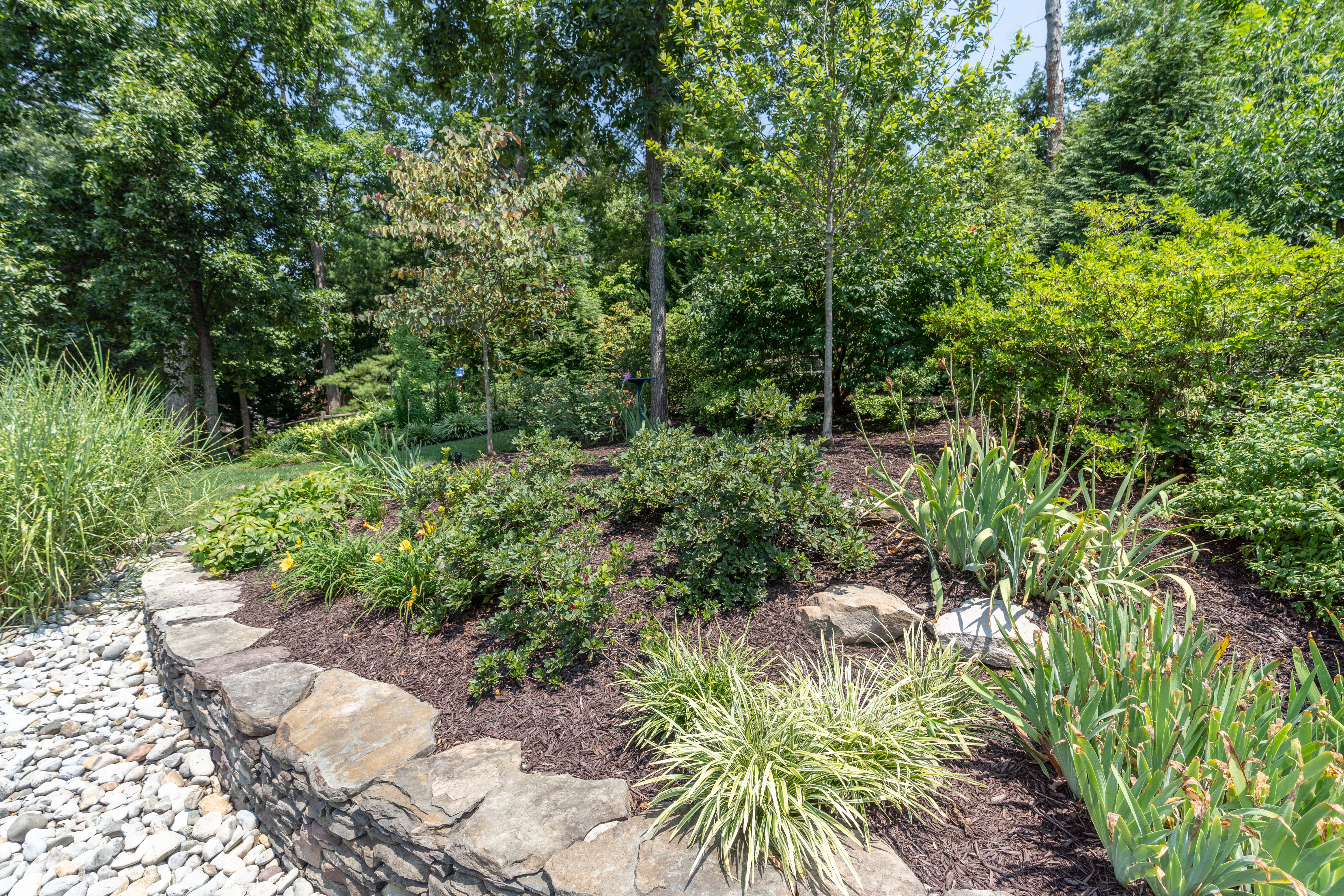 7303 Fort Hunt Road Alexandria, VA 22307 - Photo 10 of 11 a backyard of a house with lots of green space