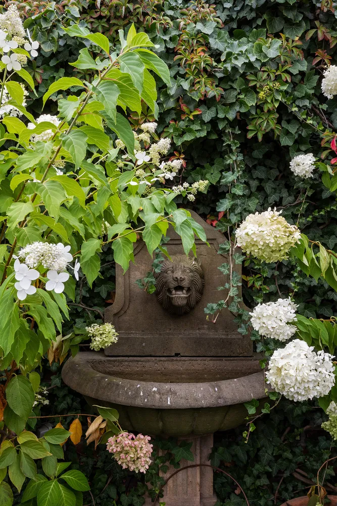 a view of a garden with a bench