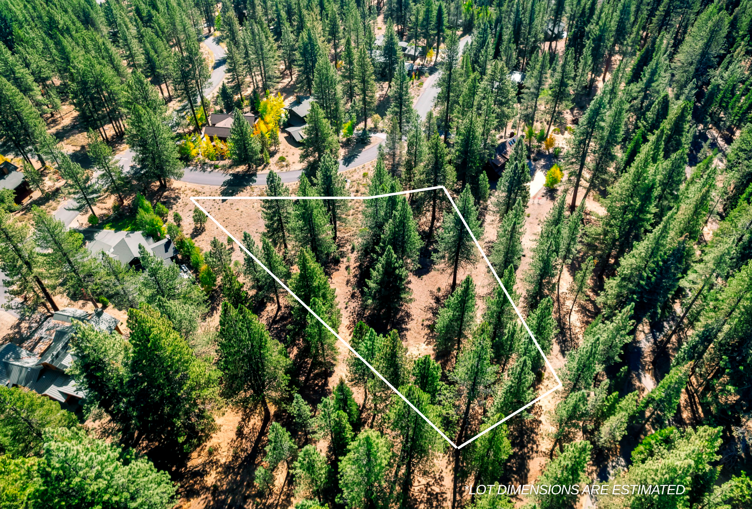 11670 Bottcher Loop Truckee, CA 96161 - Photo 4 of 16
