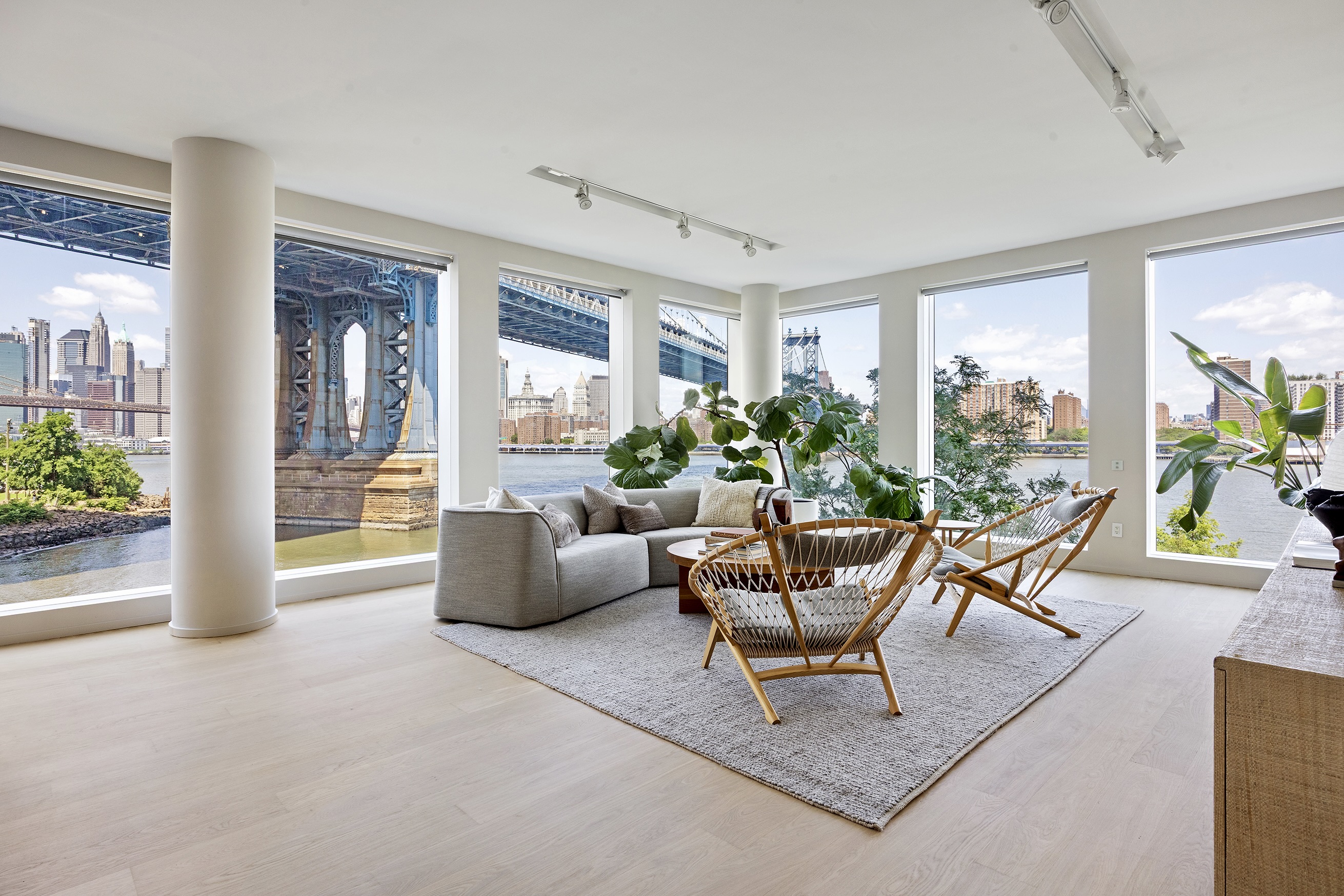 a living room with furniture and a potted plant