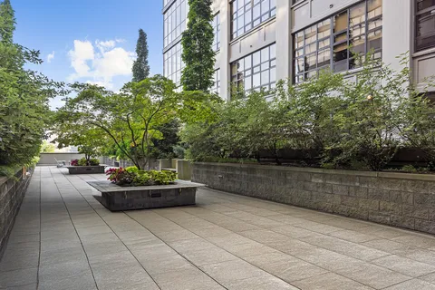 a view of a patio with couches and a potted plant