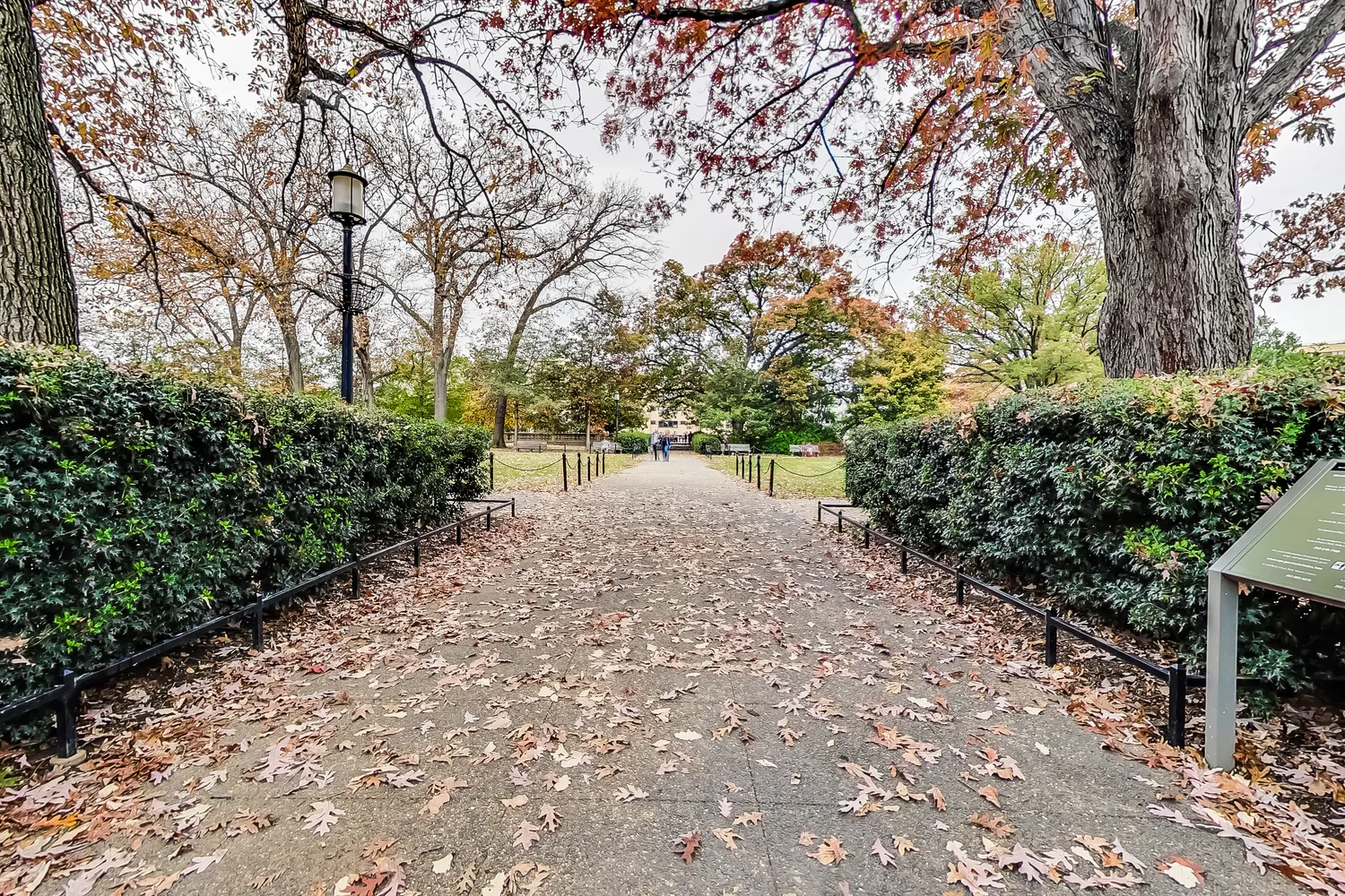 a view of backyard with green space