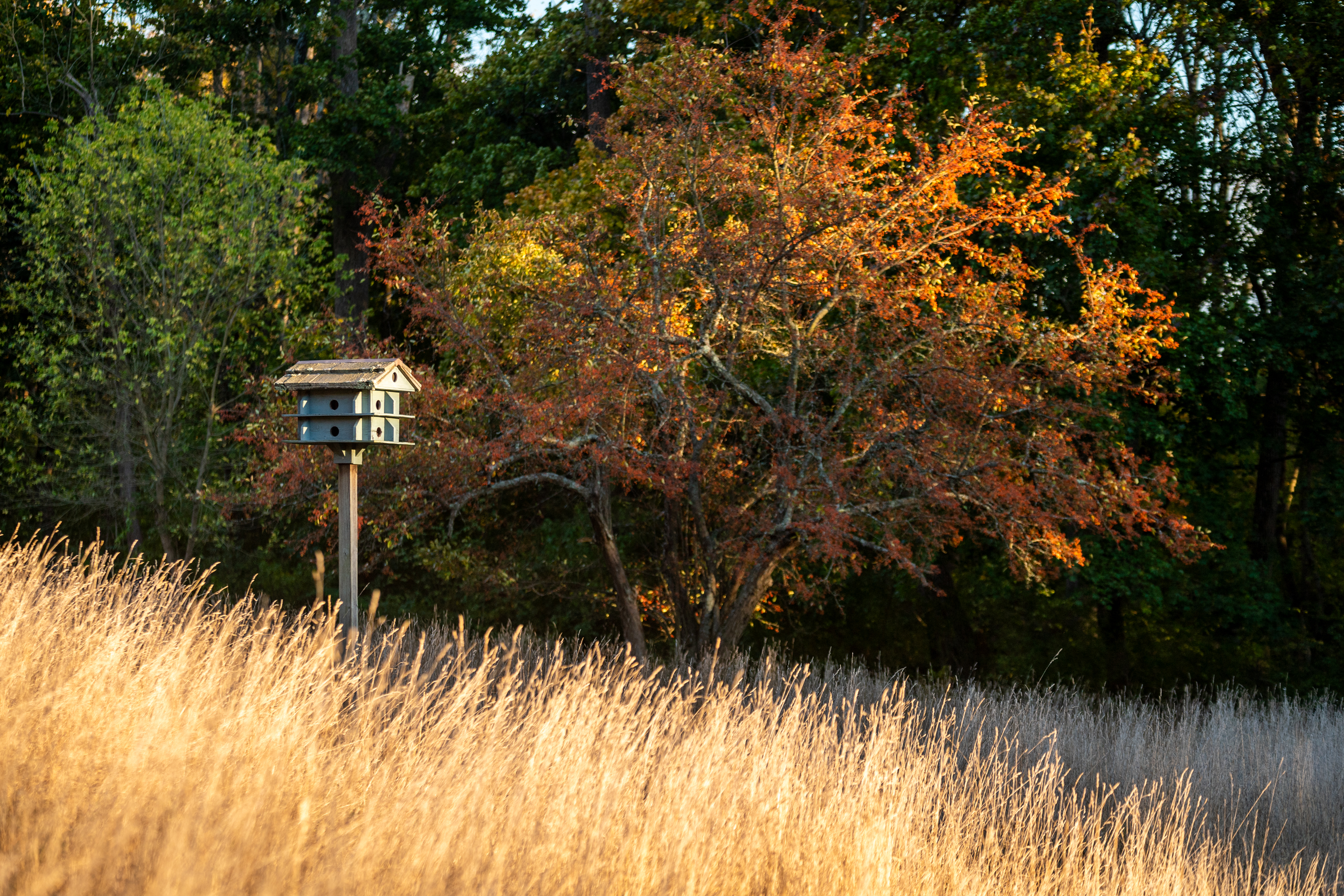 791 Grubbs Mill Road Berwyn, PA 19312 - Photo 75 of 76