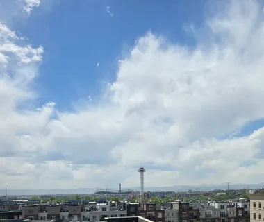 a view of a city with lots of green space
