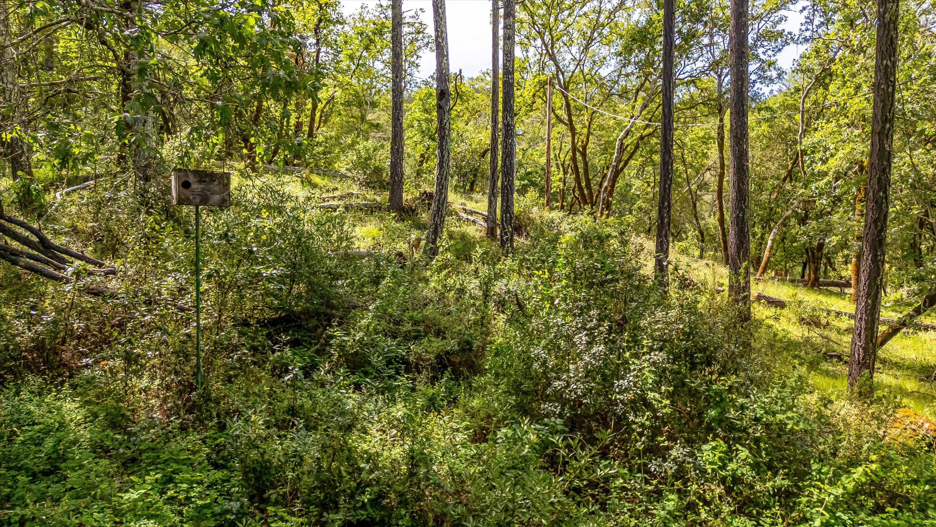 6435 Dry Creek Road Napa, CA 94558 - Photo 22 of 34