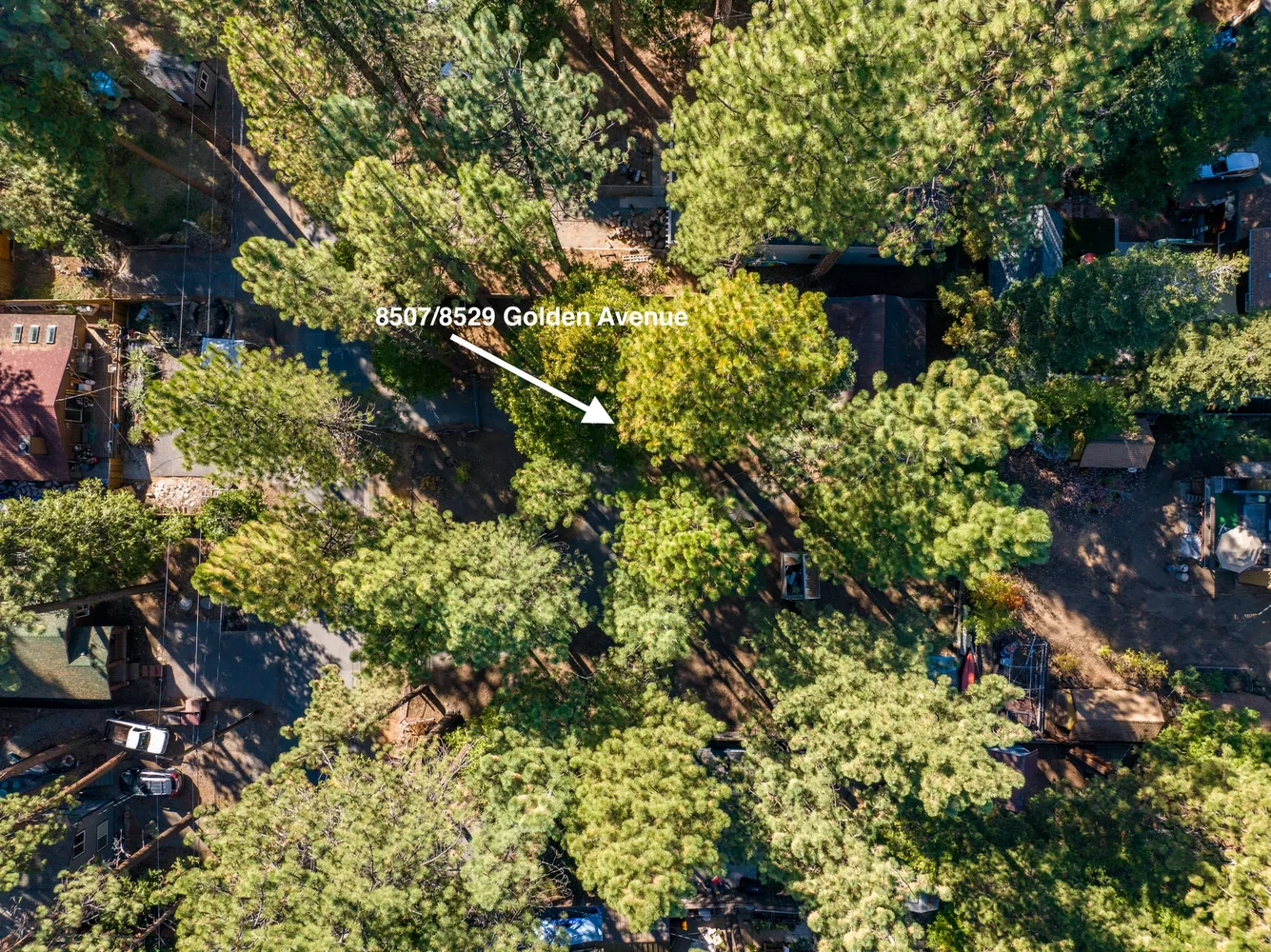 a view of a bunch of trees and buildings