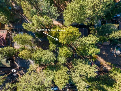 a view of a bunch of trees and buildings