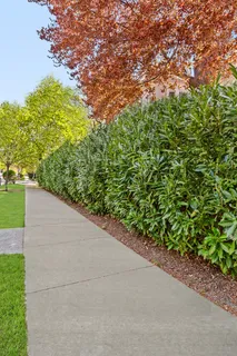 $5,999,000 | 1221 Albemarle Road | Prospect Park South