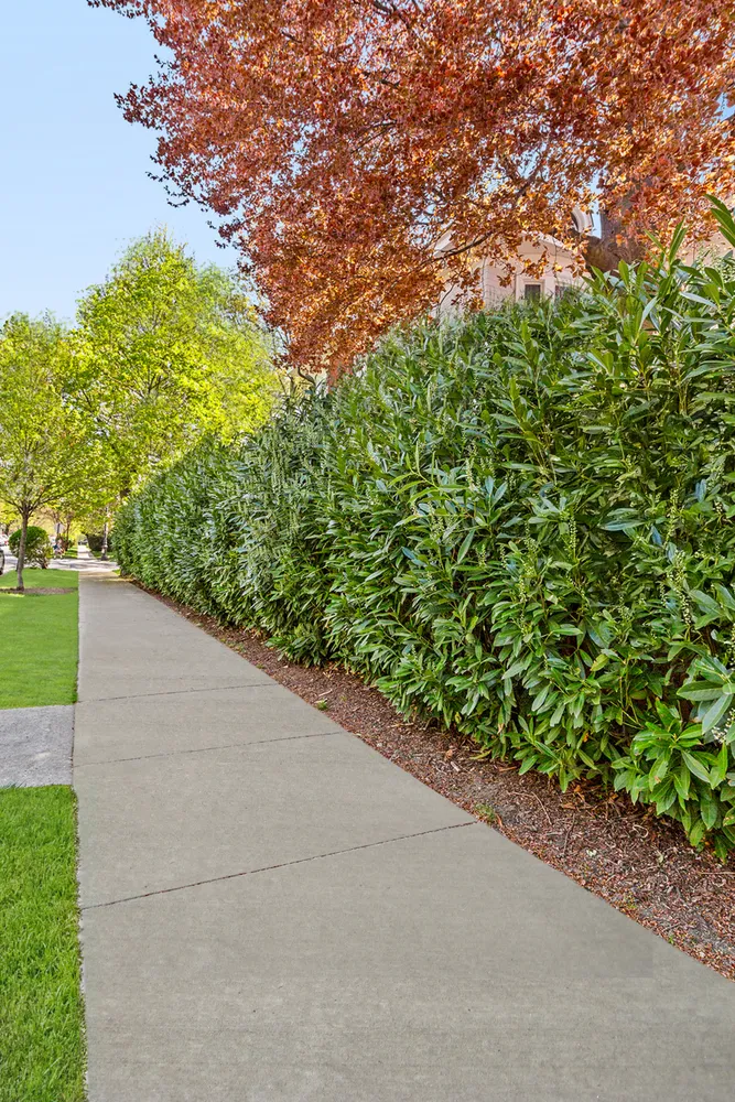 $5,999,000 | 1221 Albemarle Road | Prospect Park South