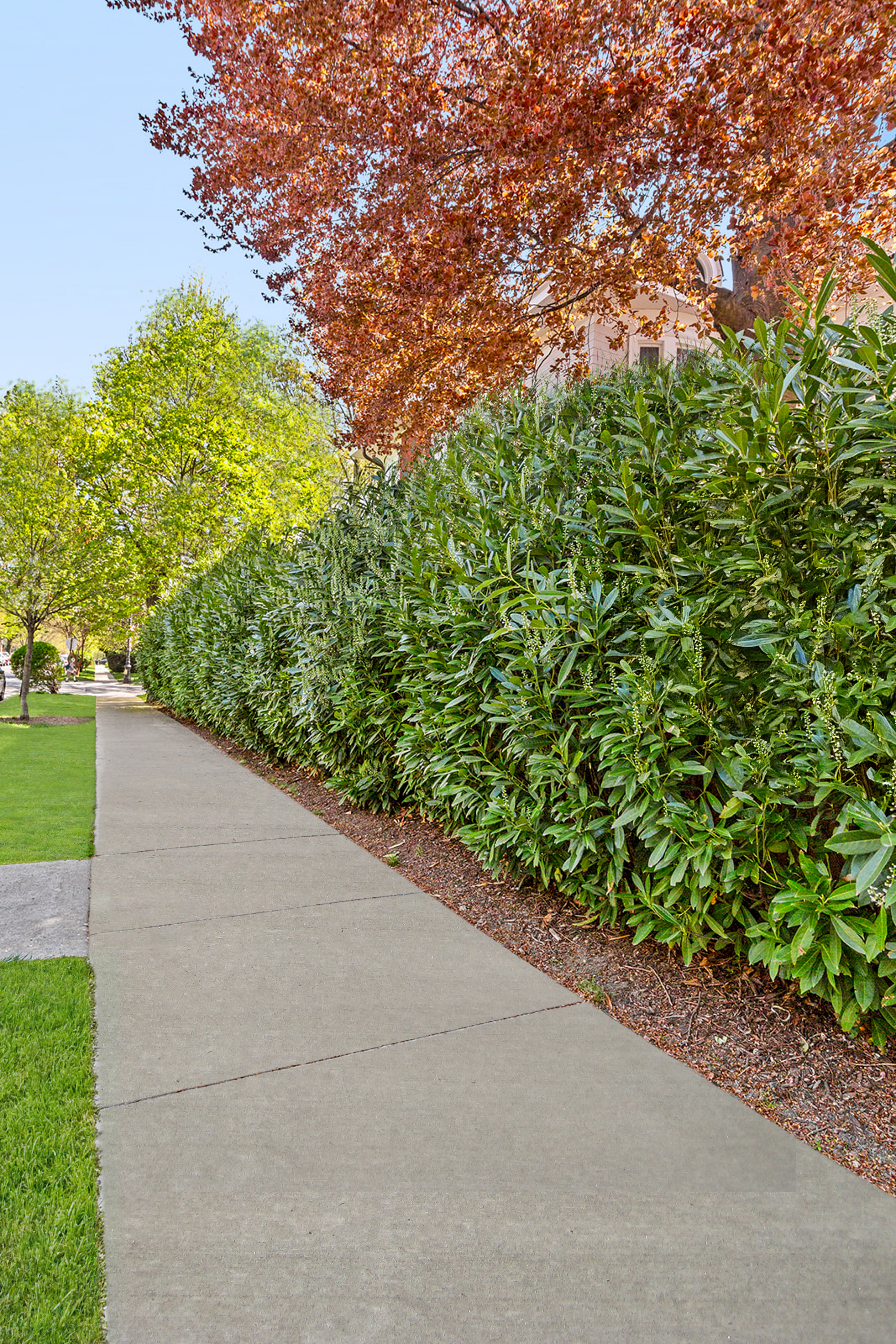 1221 Albemarle Road Brooklyn, NY 11218 - Photo 44 of 45 a view of a garden