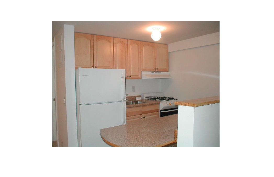 23-12 24th Avenue, Unit 1 Queens, NY 11102 - Photo 2 of 10 a kitchen with a refrigerator and a sink