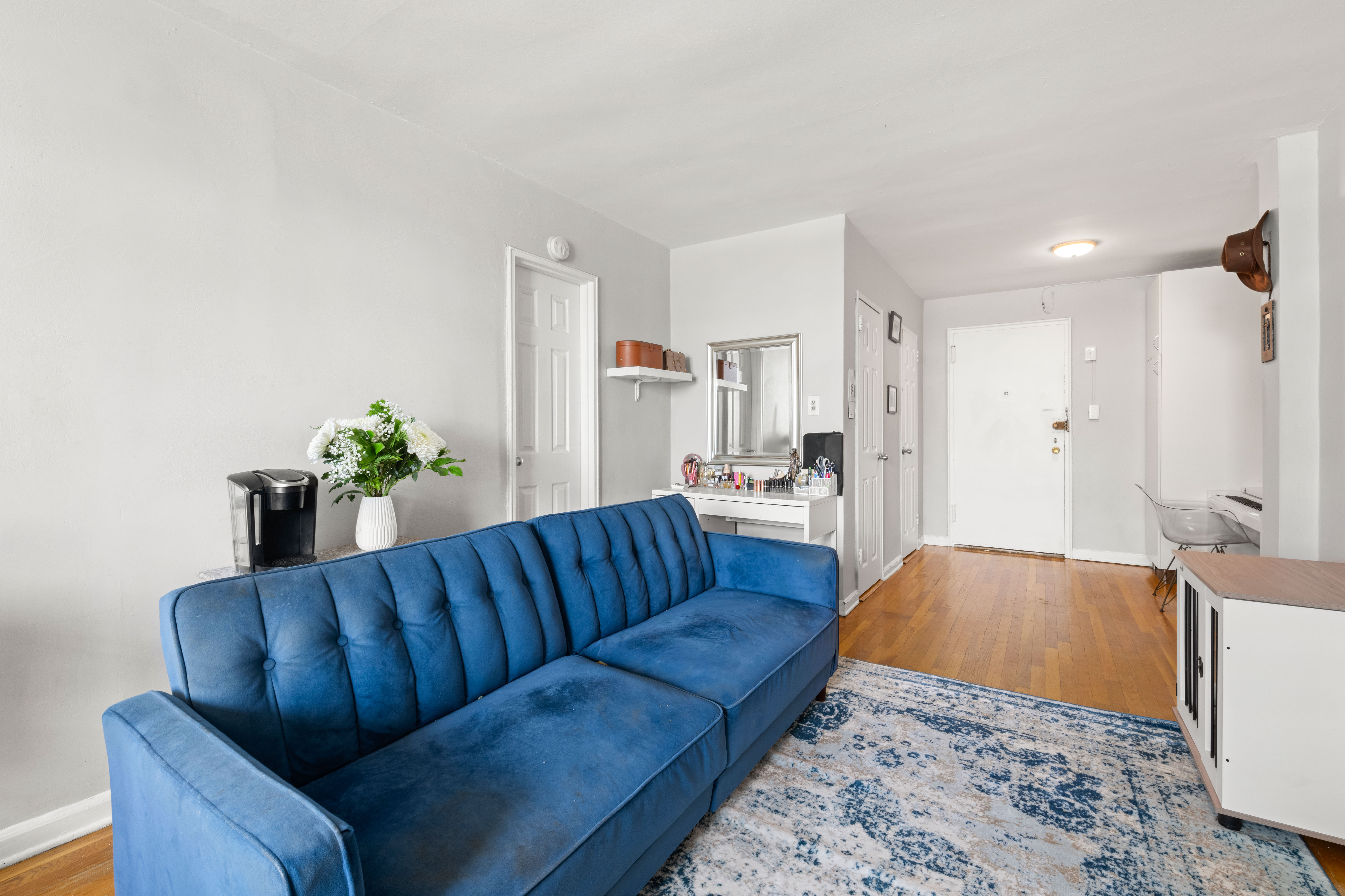 a living room with furniture flowerpot and a rug