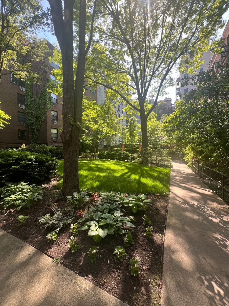 a backyard of a house with a tree