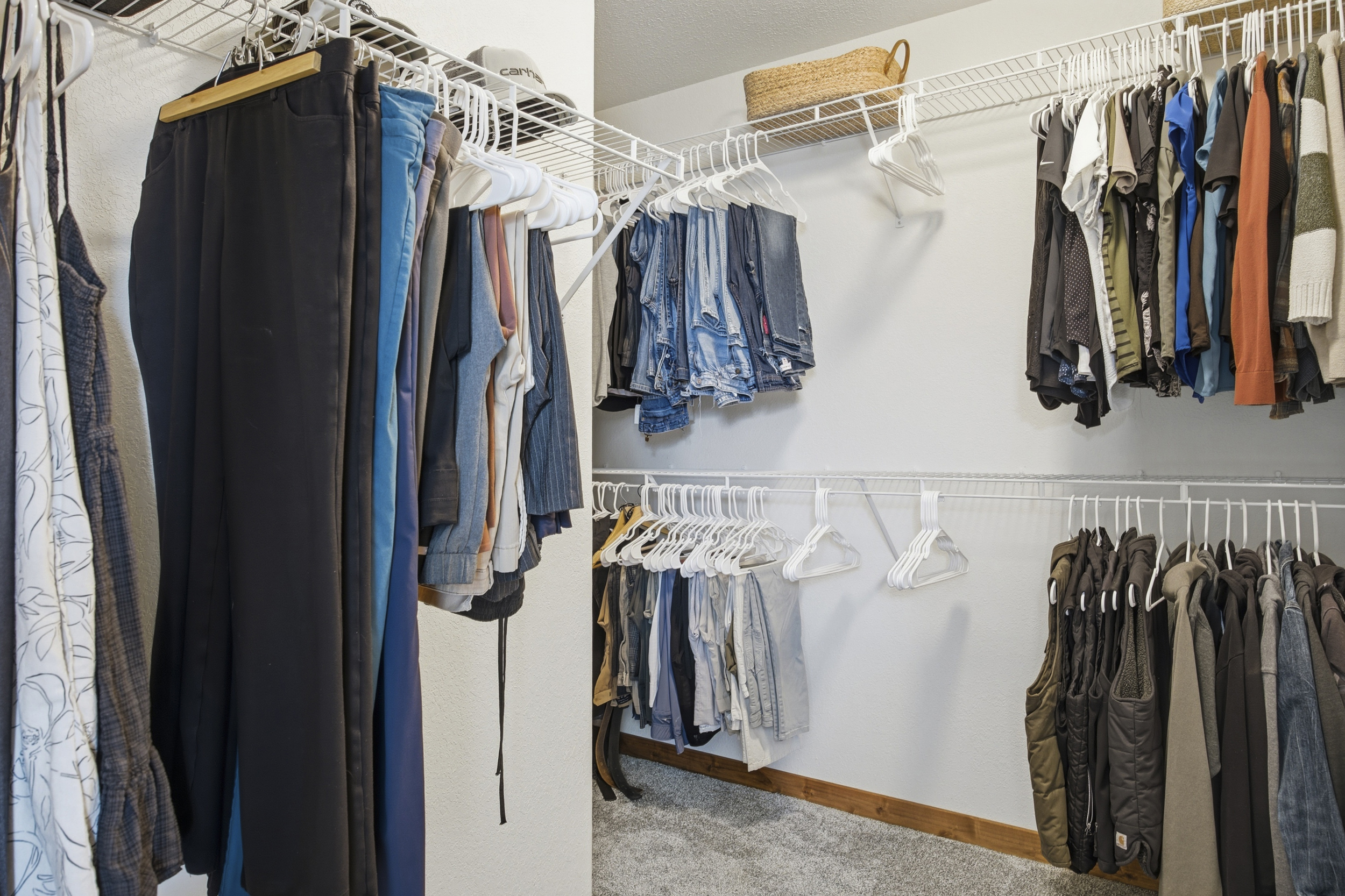 414 Prairie Clover Way Severance, CO 80550 - Photo 37 of 53