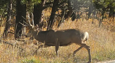 $2,100,000 | 323 Overlook Lane, Boulder, CO 80302