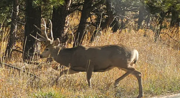 $2,100,000 | 323 Overlook Lane, Boulder, CO 80302