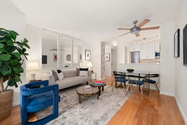 a living room with furniture or wooden floor and a potted plant