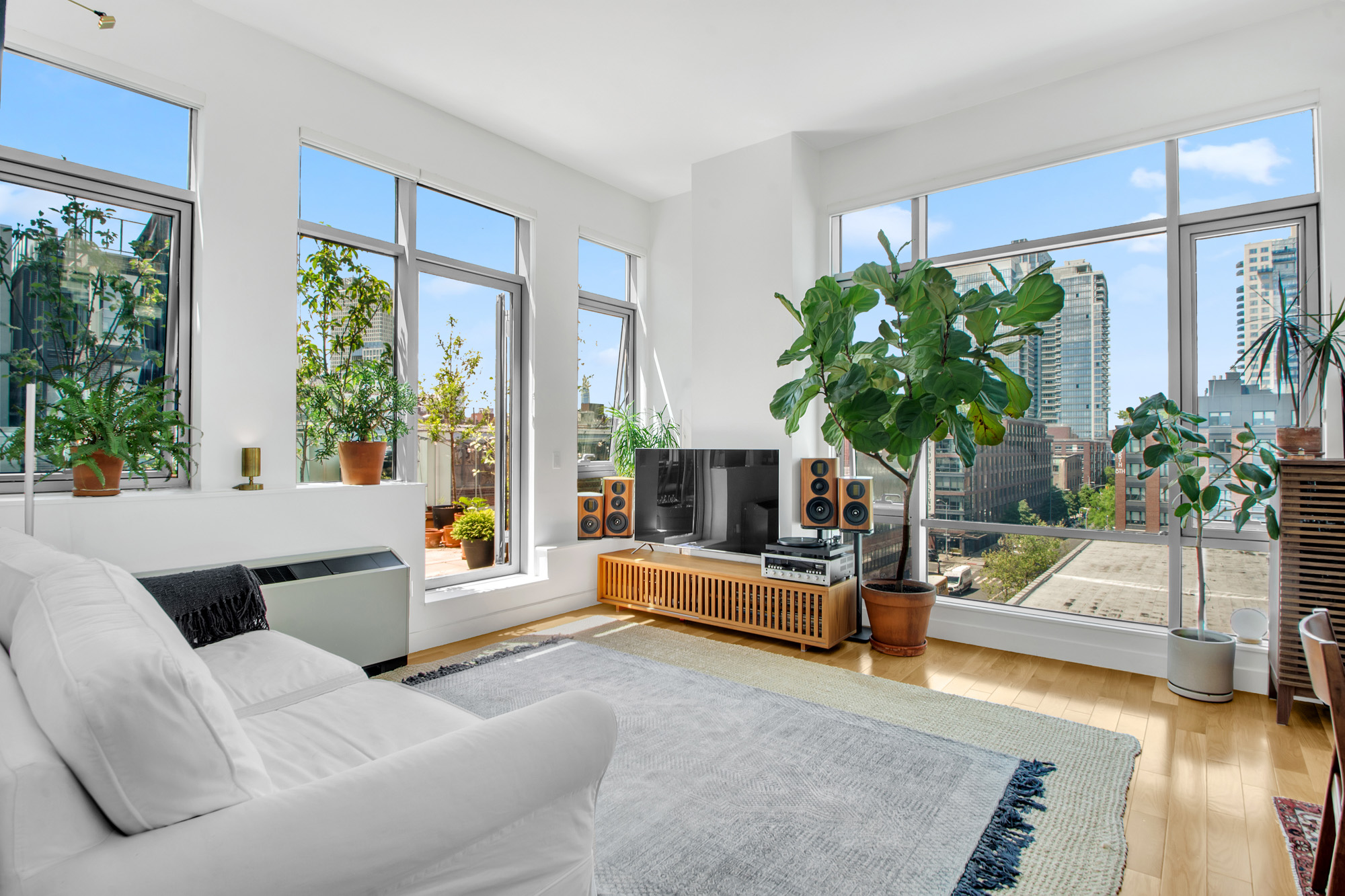 a living room with furniture and a potted plant