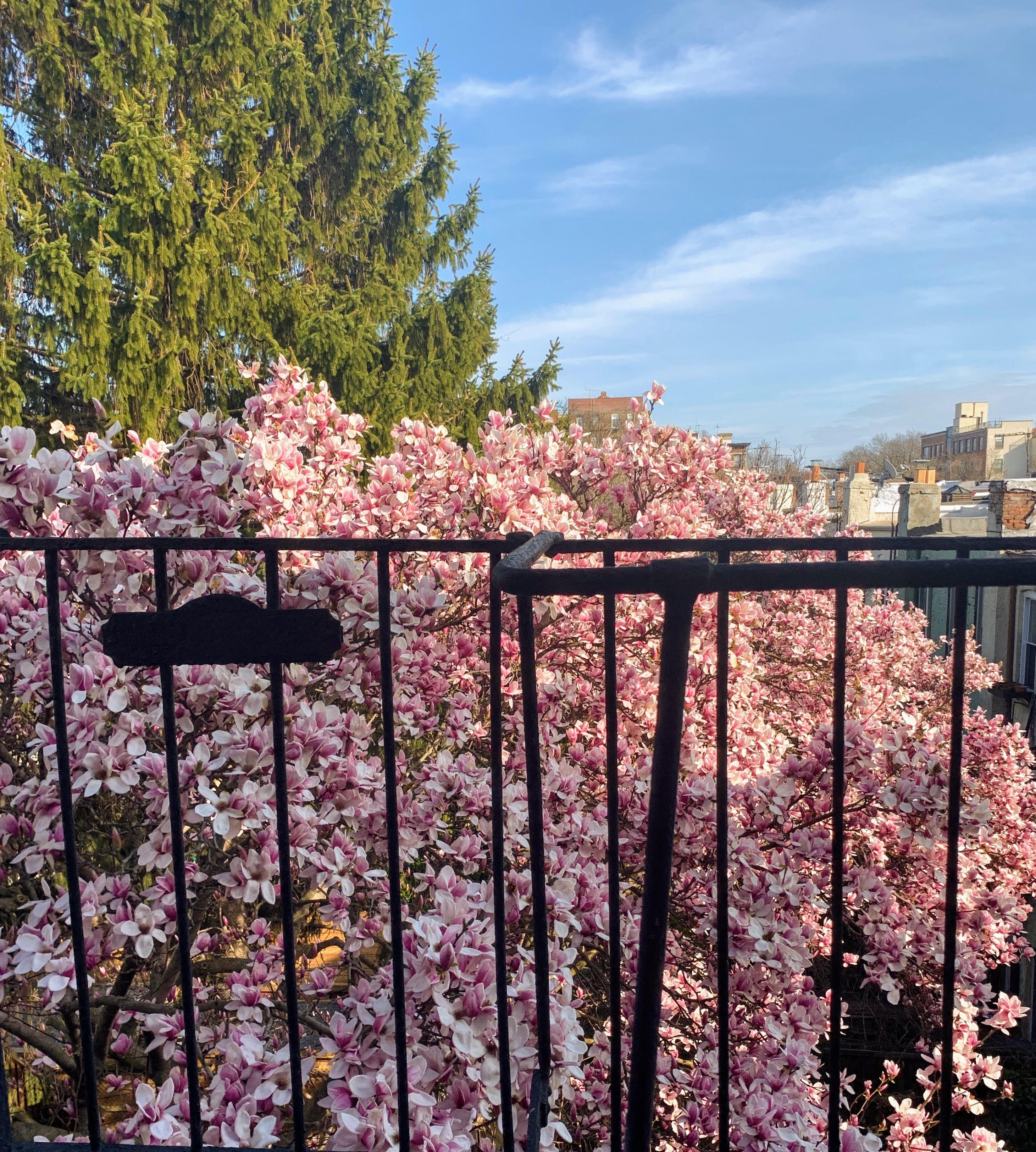 813 8th Avenue, Unit 4R Brooklyn, NY 11215 - Photo 10 of 12