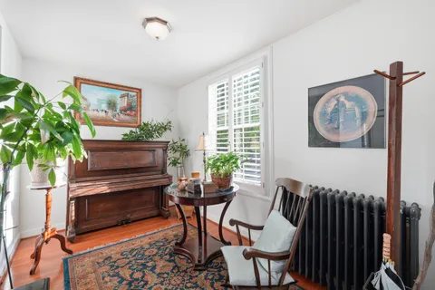 a living room with furniture a rug and a potted plant