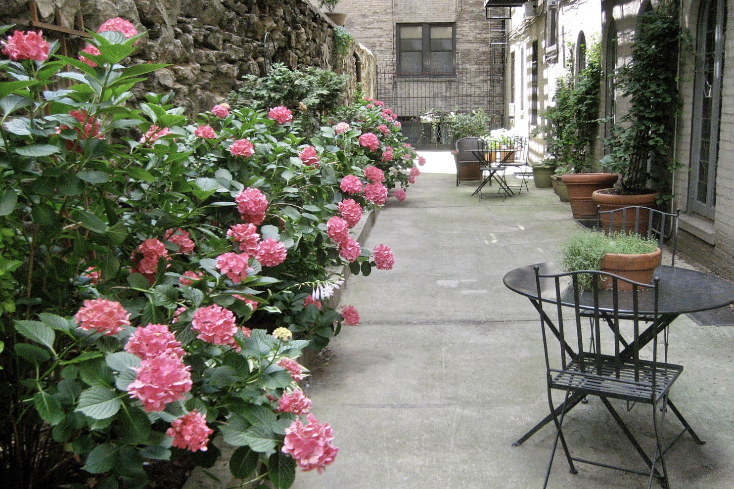 125 Cabrini Boulevard, Unit A22 Manhattan, NY 10033 - Photo 18 of 20 a group of flowers sitting in back yard of the house