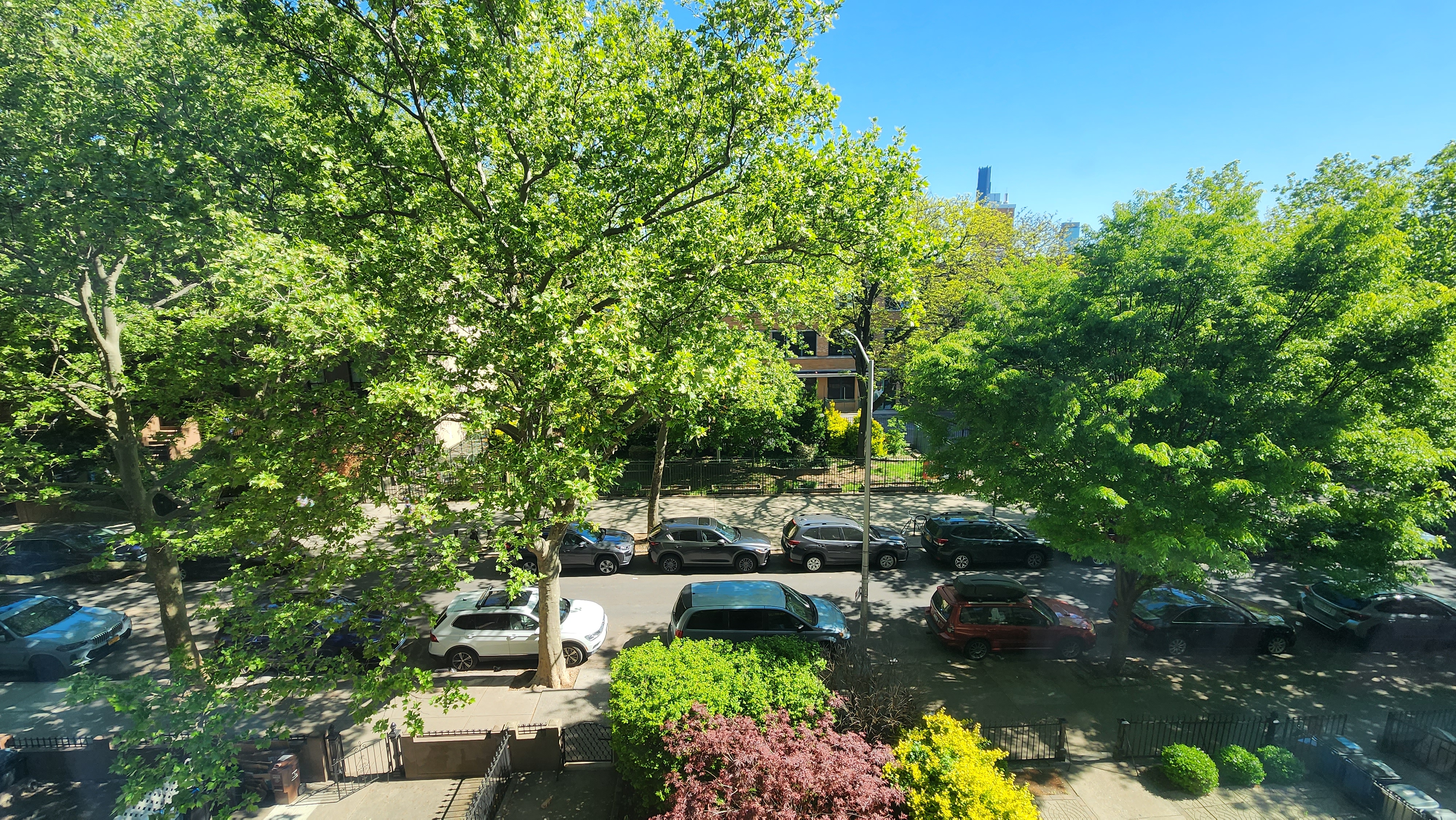 118 1st Place, Unit 2 Brooklyn, NY 11231 - Photo 12 of 12 a garden with lots of trees
