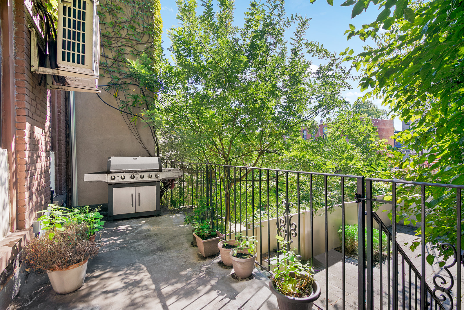 900 Lafayette Avenue Brooklyn, NY 11221 - Photo 5 of 13 a garden filled with lots of potted plants
