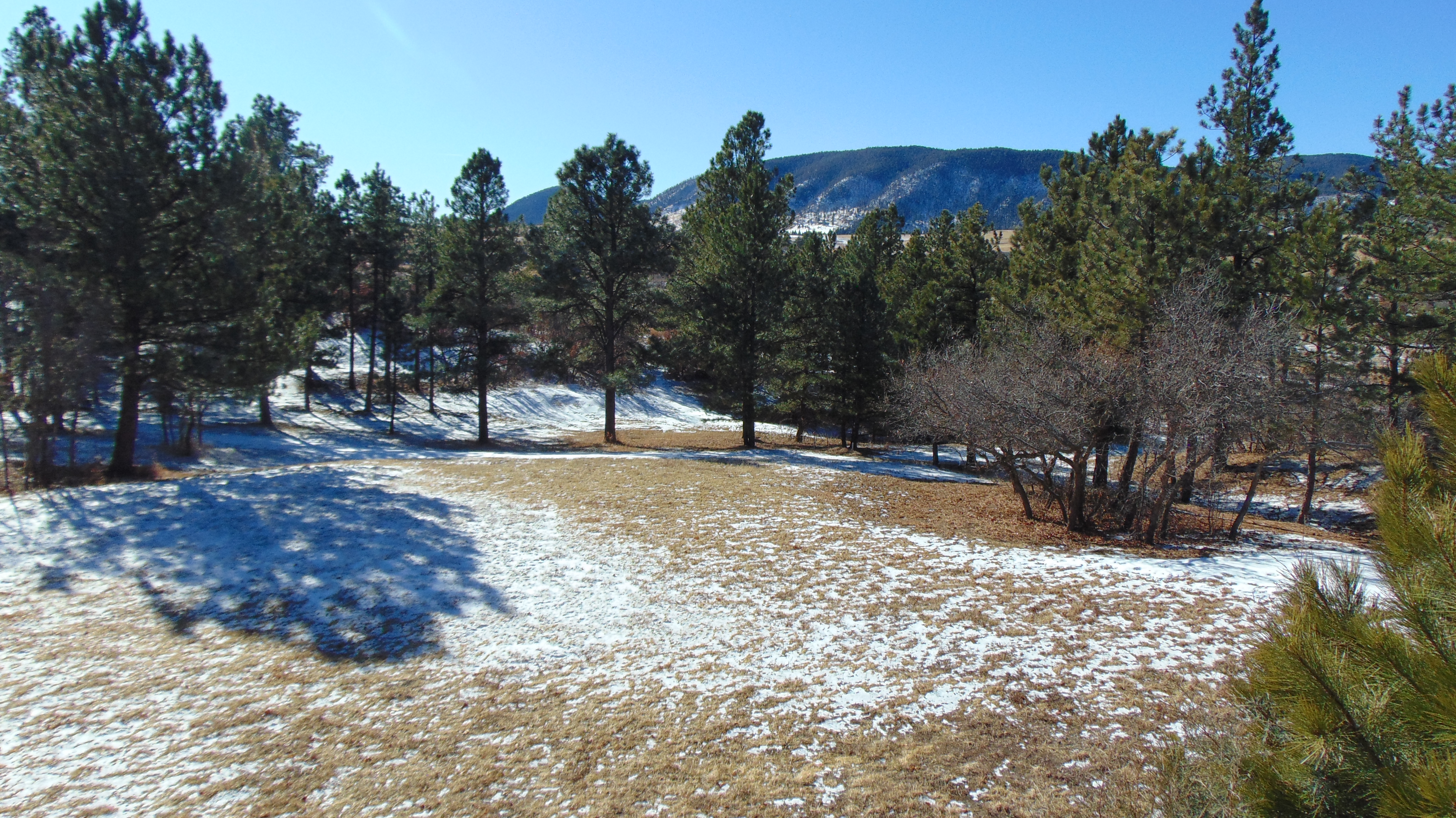 9676 South Perry Park Road Larkspur, CO 80118 - Photo 14 of 16