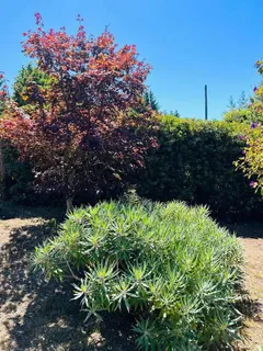 $699,000 | 520 Redwood Road, Whitethorn, CA 95589