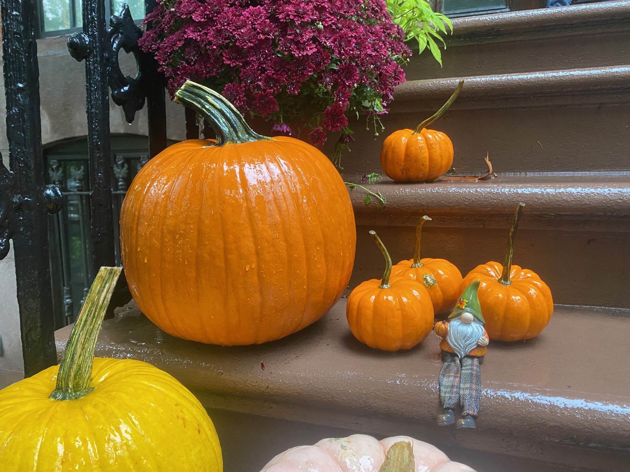 237 Bergen Street, Unit 2 Brooklyn, NY 11217 - Photo 9 of 11