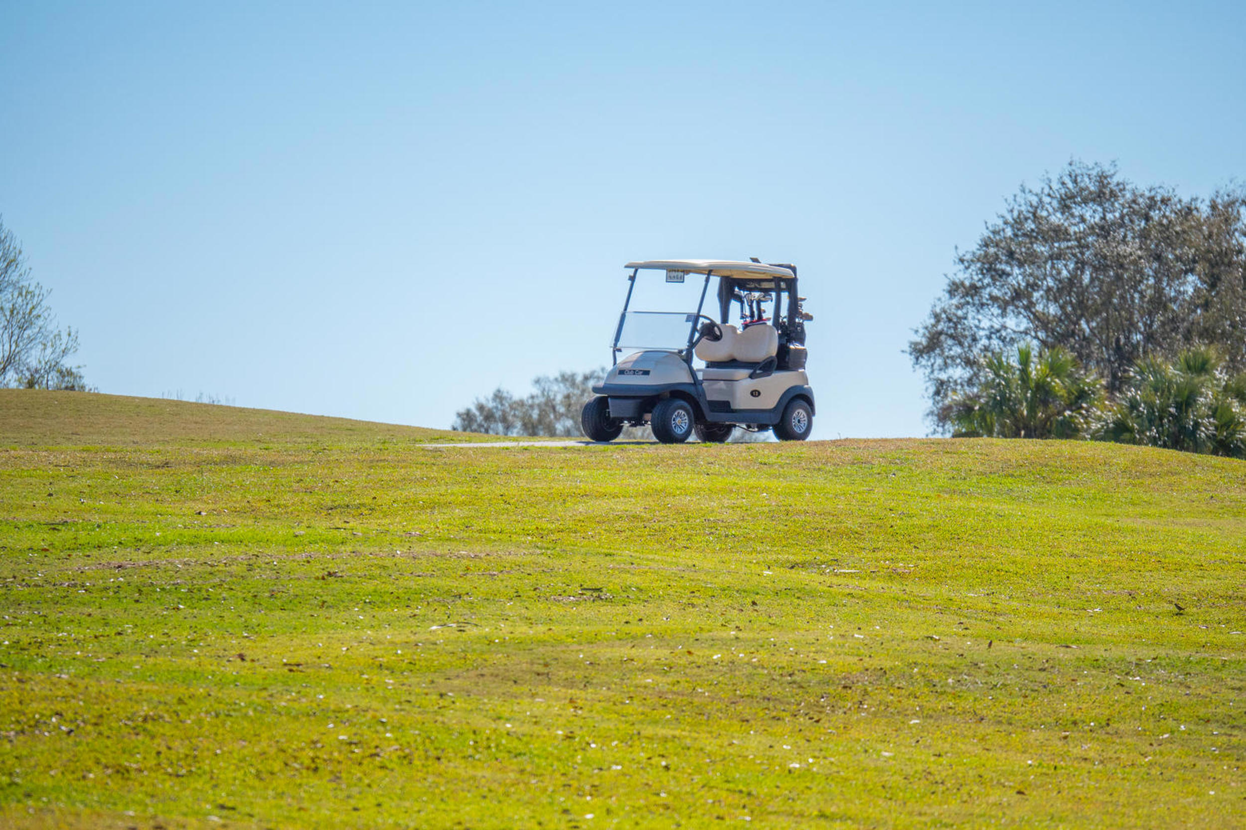11908 Oak Ridge Drive Parrish, FL 34219 - Photo 54 of 66