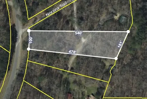 a view of a lush green forest with lots of trees