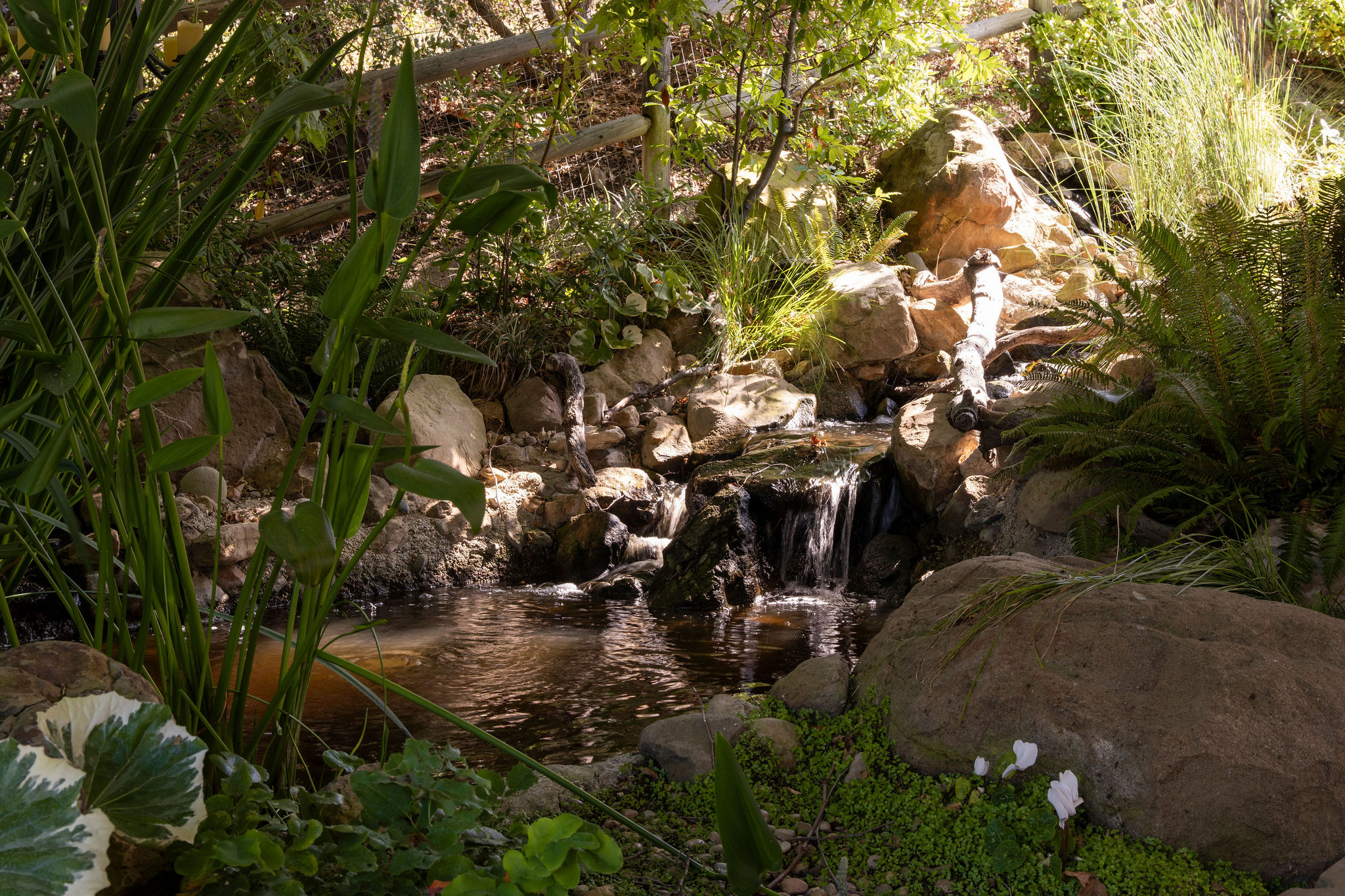 560 Cold Canyon Road Calabasas, CA 91302 - Photo 69 of 84