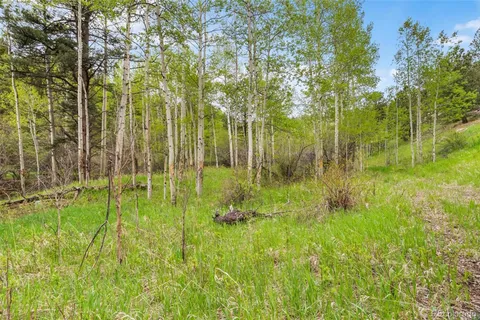 a view of yard with green space