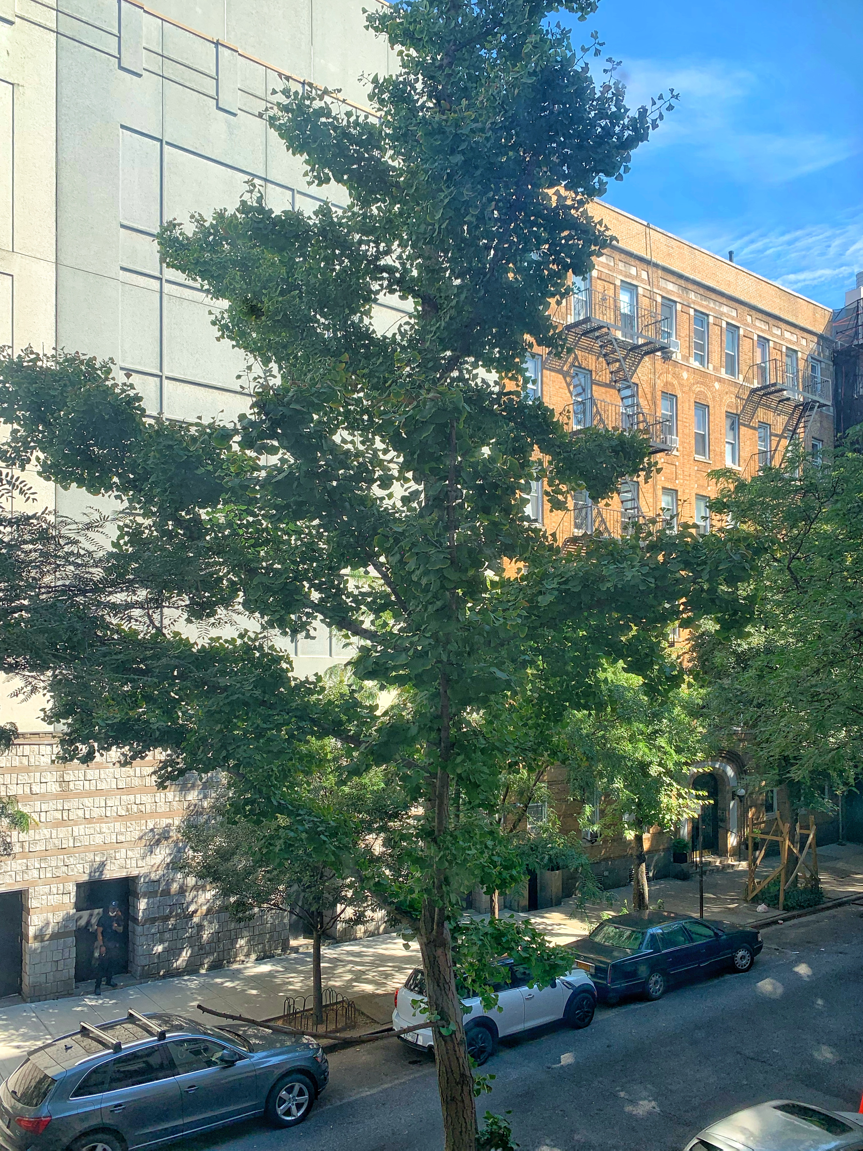 260 West 22nd Street, Unit 5 Manhattan, NY 10011 - Photo 6 of 8