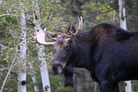 $2,100,000 | 323 Overlook Lane, Boulder, CO 80302