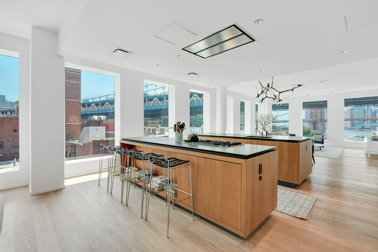 1 John Street, Unit 8A Brooklyn, NY 11201 - Photo 4 of 15