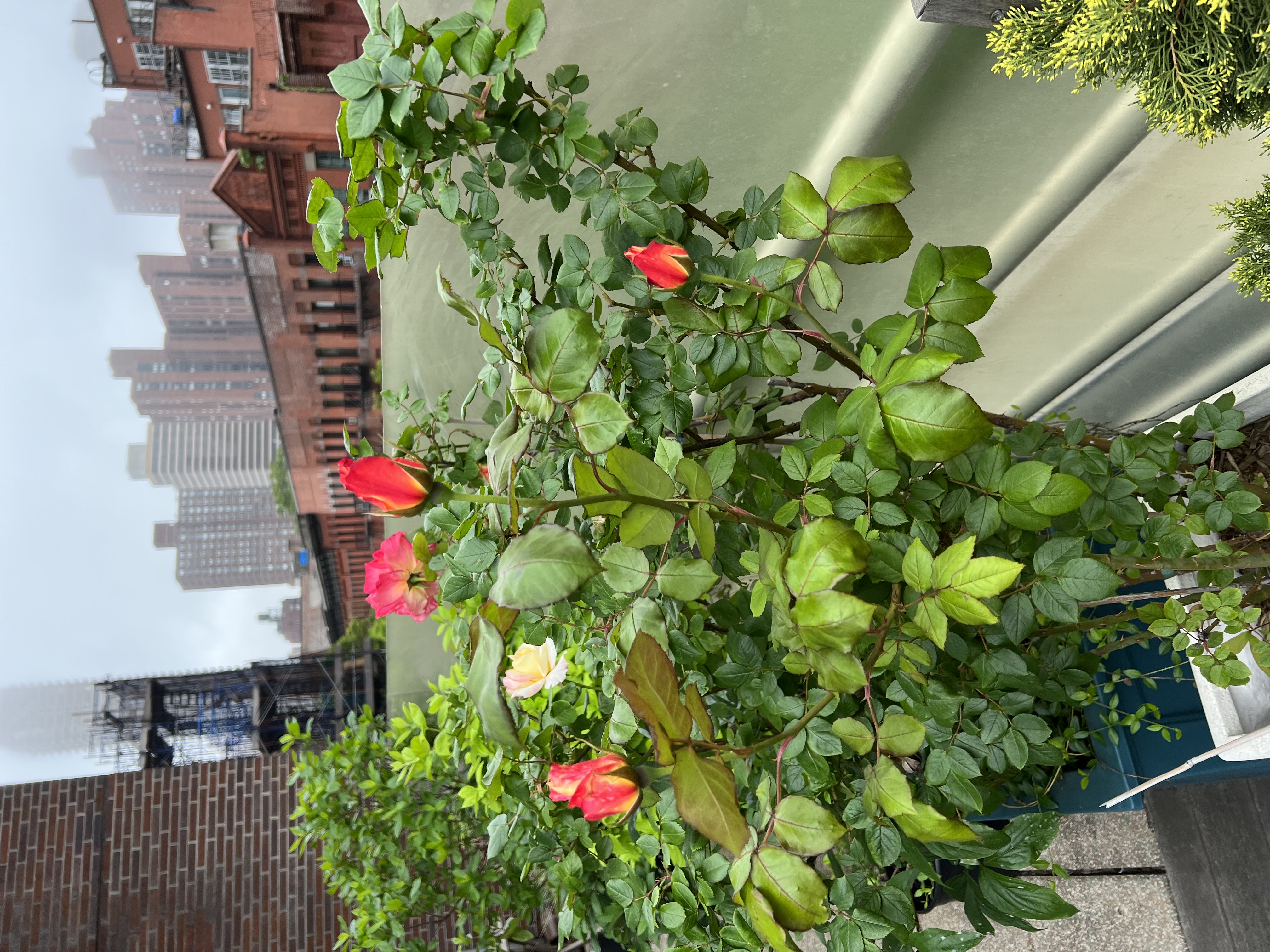 360 East 88th Street, Unit 4E Manhattan, NY 10128 - Photo 20 of 28