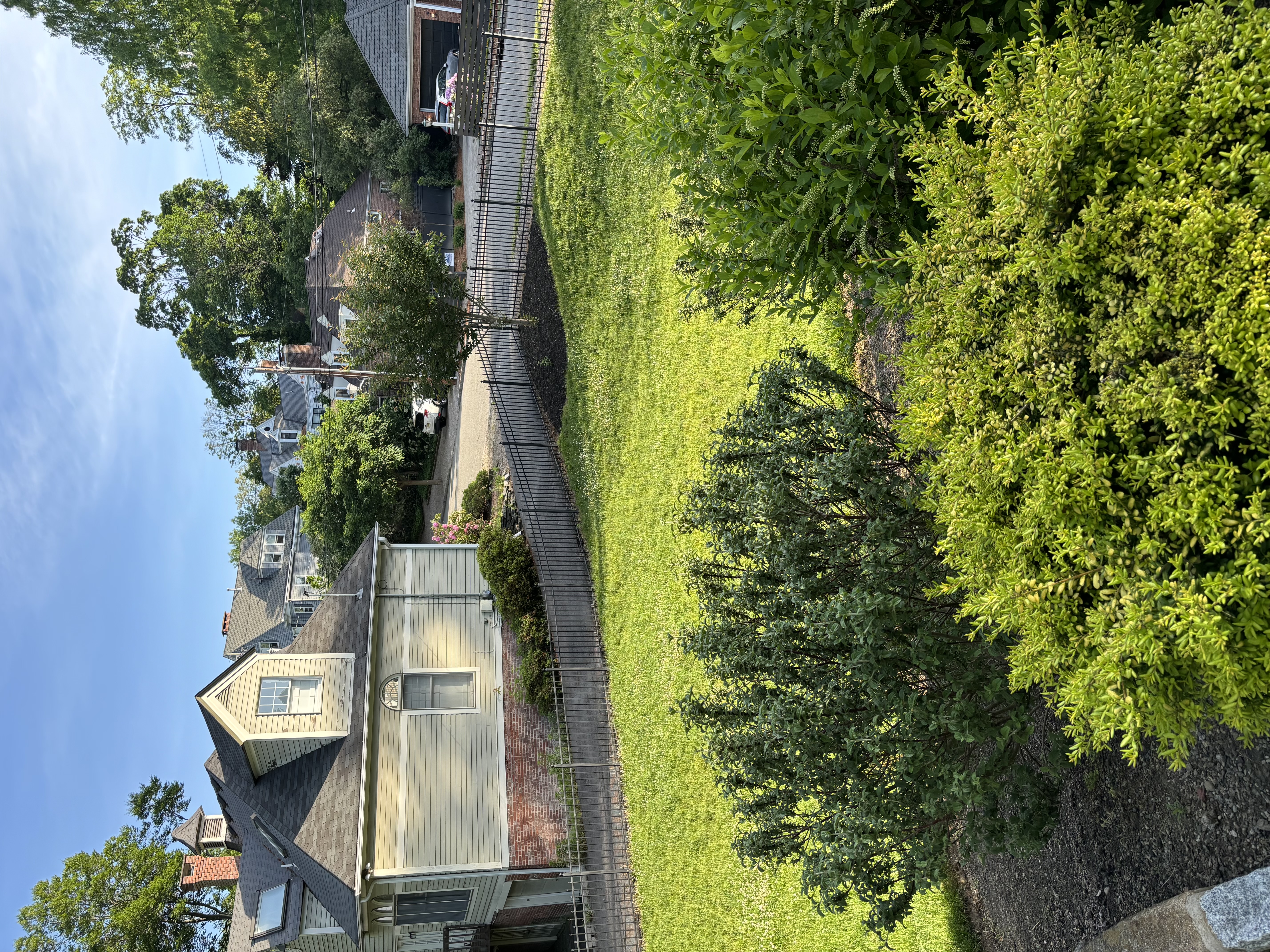 61 Miller Road Morristown, NJ 07960 - Photo 19 of 24 a view of a house with a big yard and large trees