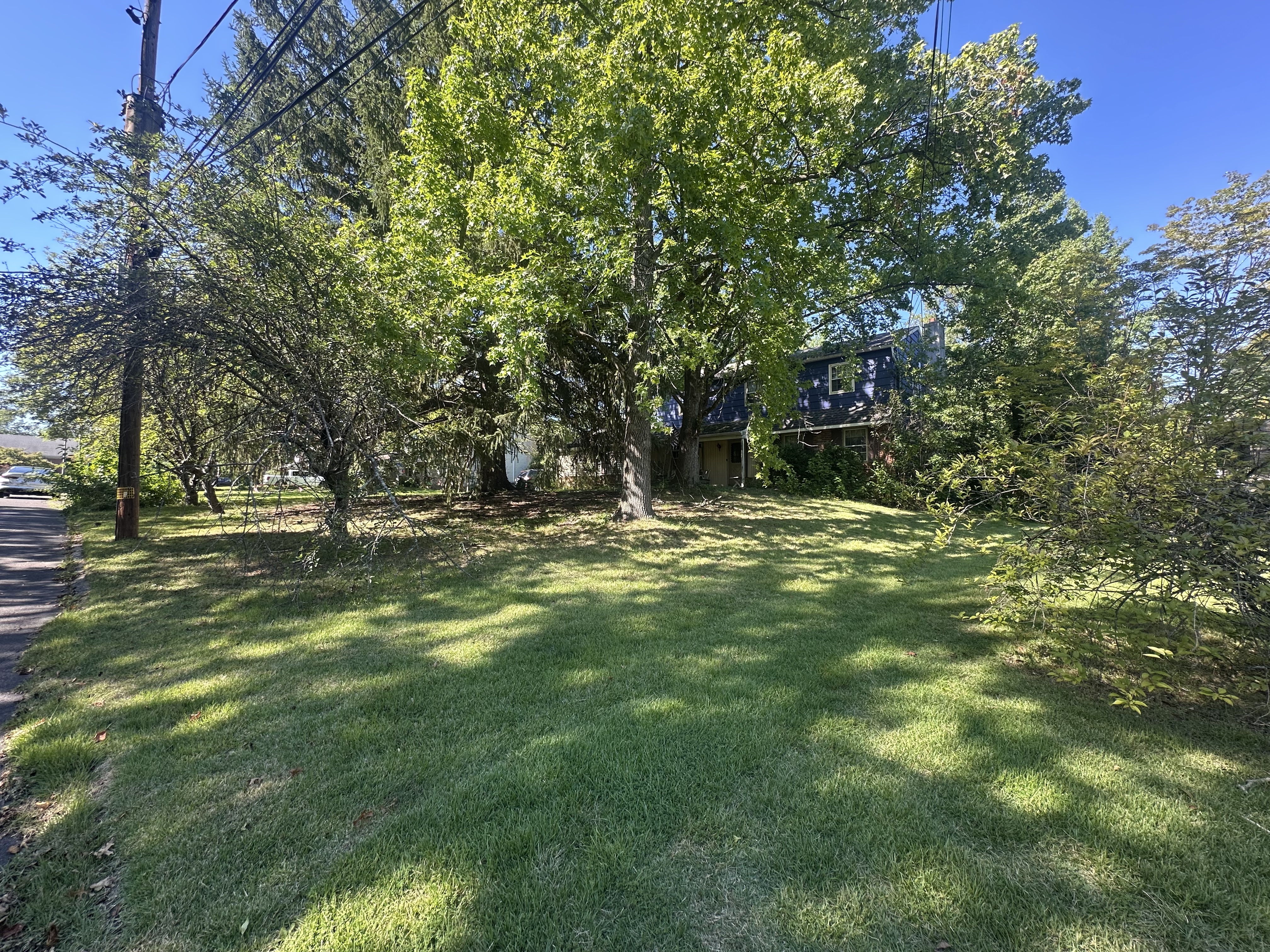 a view of outdoor space with trees all around