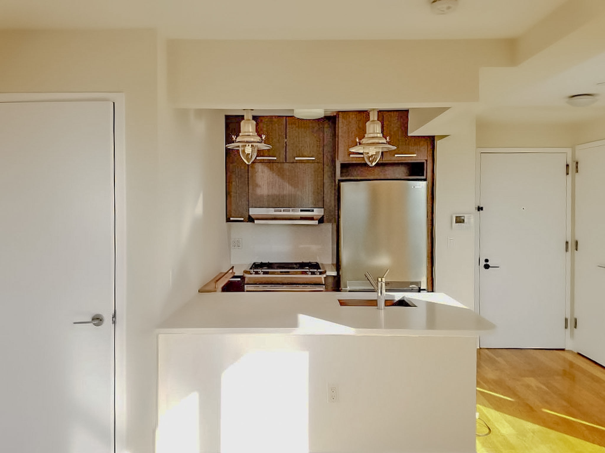65 North 6th Street, Unit PHD Brooklyn, NY 11249 - Photo 3 of 12