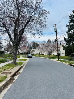a view of road with tree